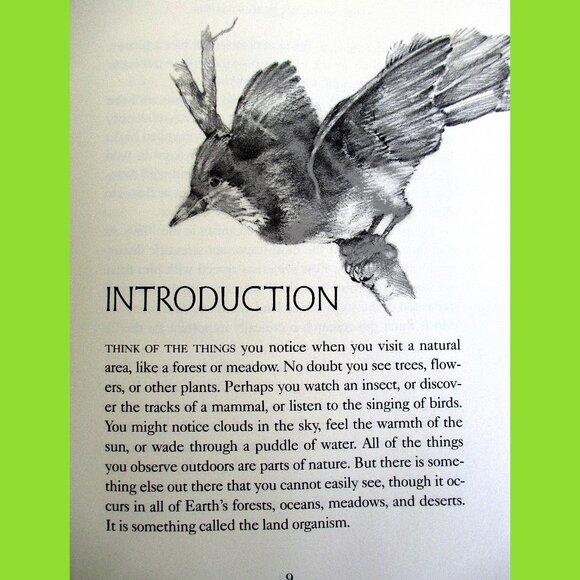 Book: The Case of the Mummified Pigs & Other Mysteries in Nature, Susan Quinlan - Picture 3 of 14